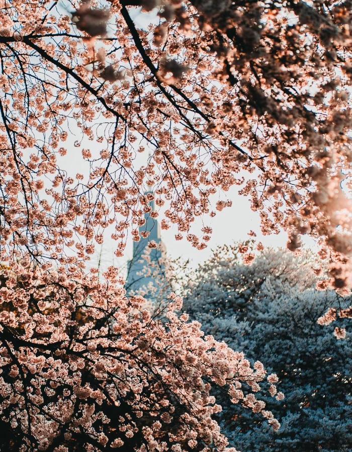 Season Guest House 東京都 エクステリア 写真